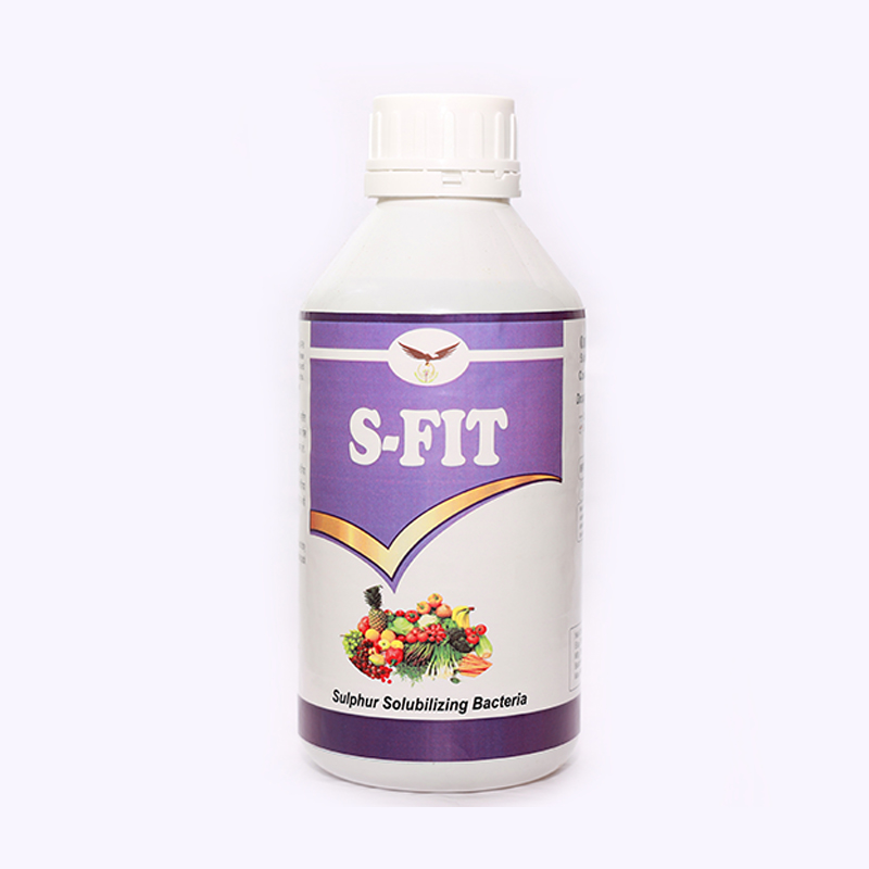 S-Fit