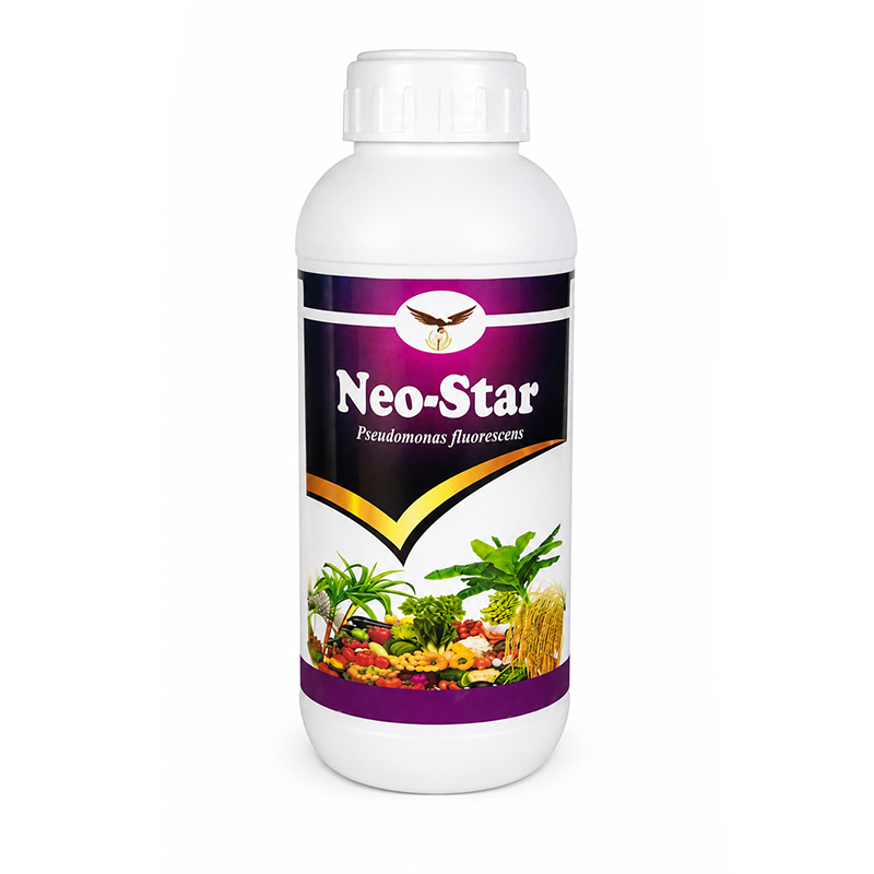 Neo Star