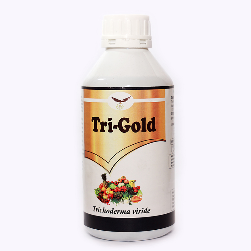 Tri Gold