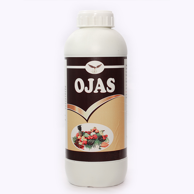 Ojas