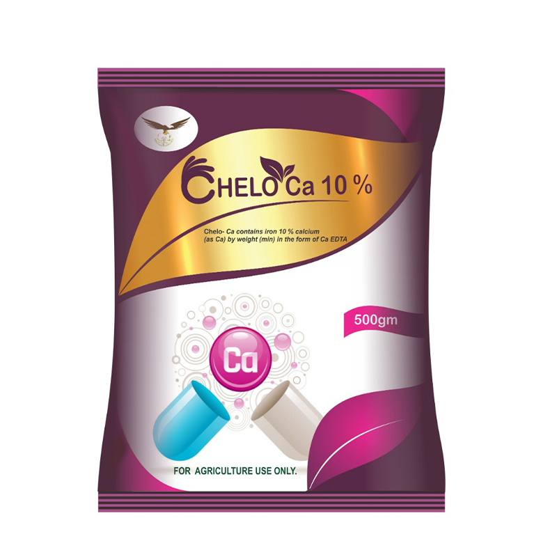 Chelo Ca