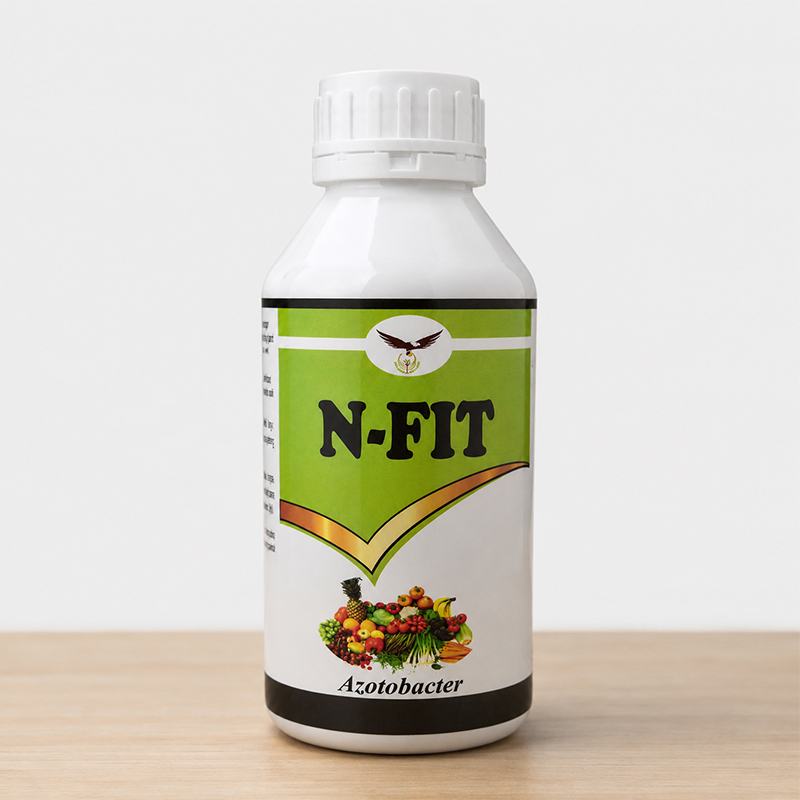 N-Fit
