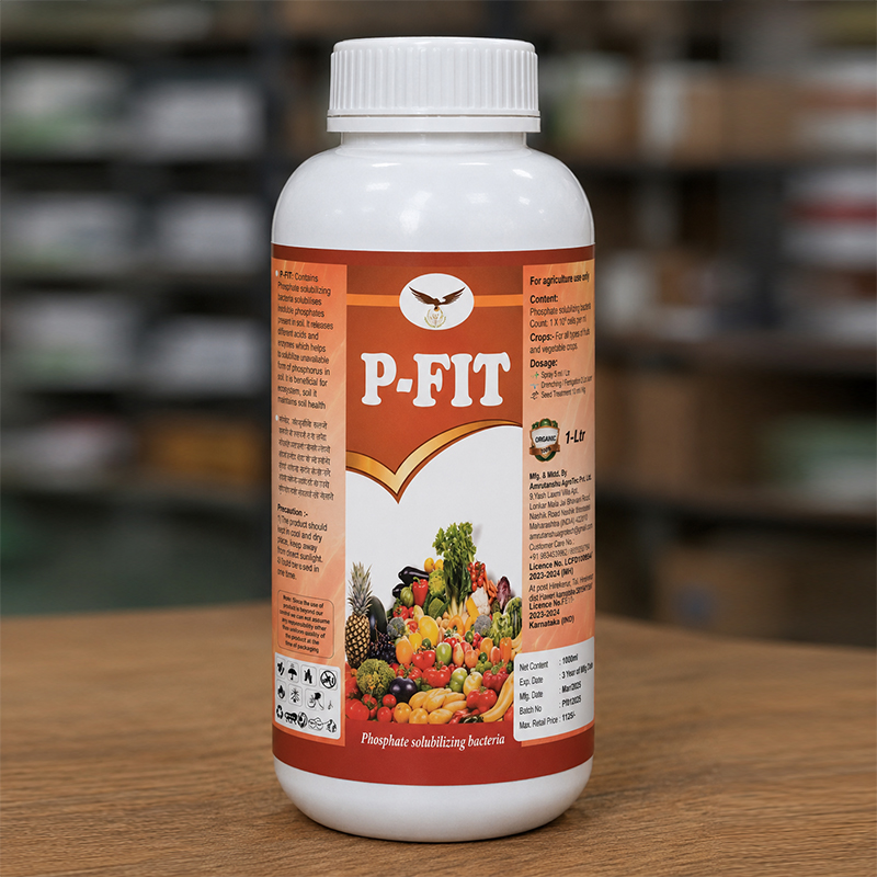 P-Fit