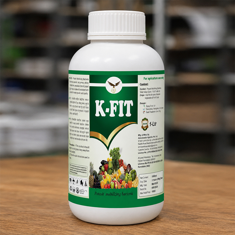 K-Fit